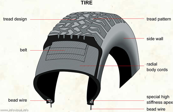 Tire  (Visual Dictionary)